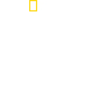 נוצר ביום