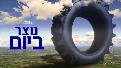thumbnail - נוצר ביום