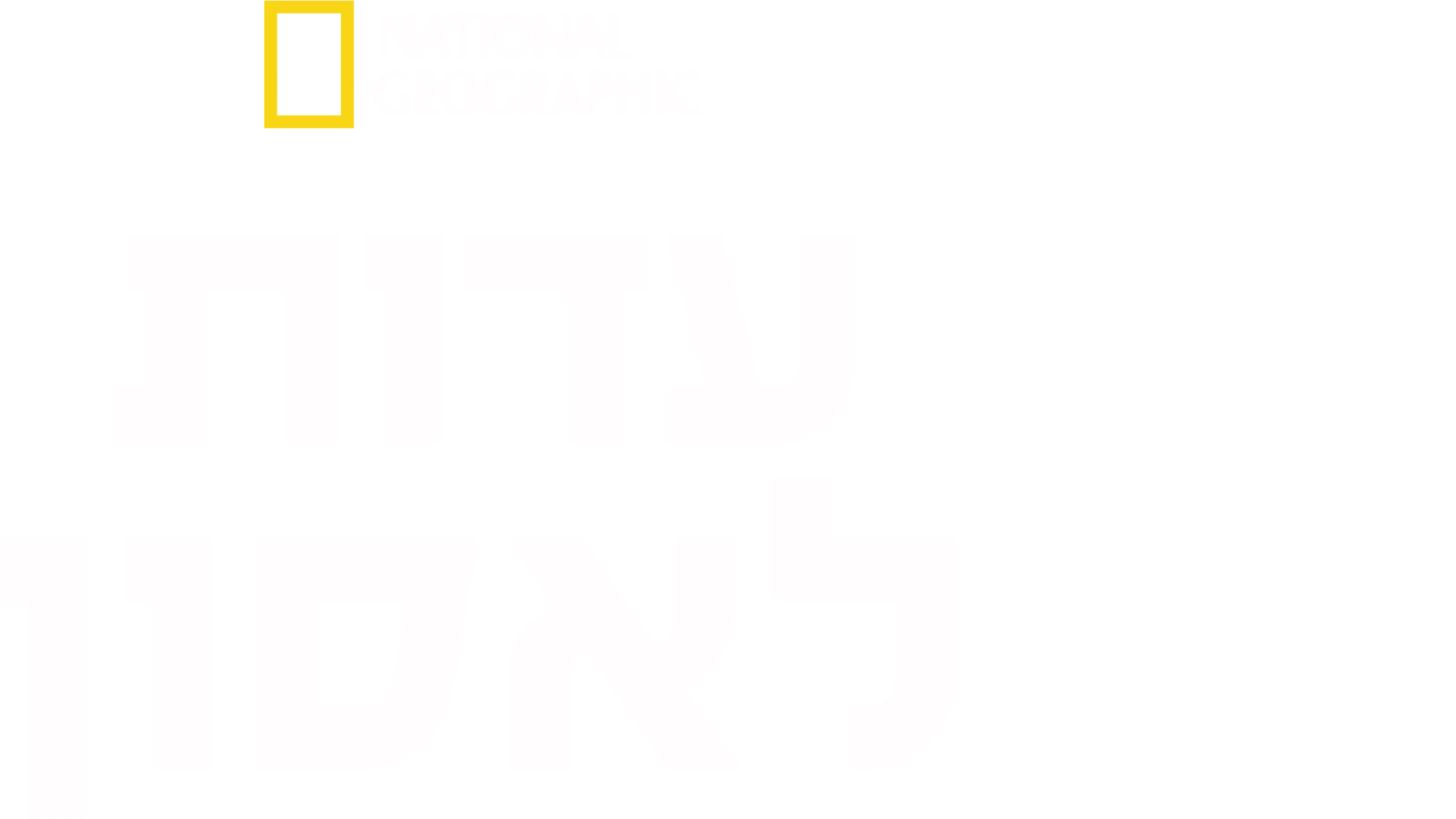 עדות לאסון