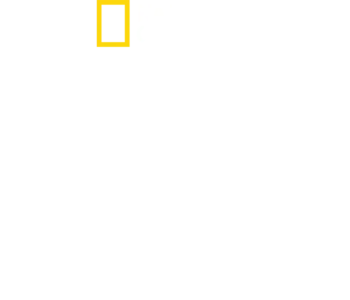 עדות לאסון