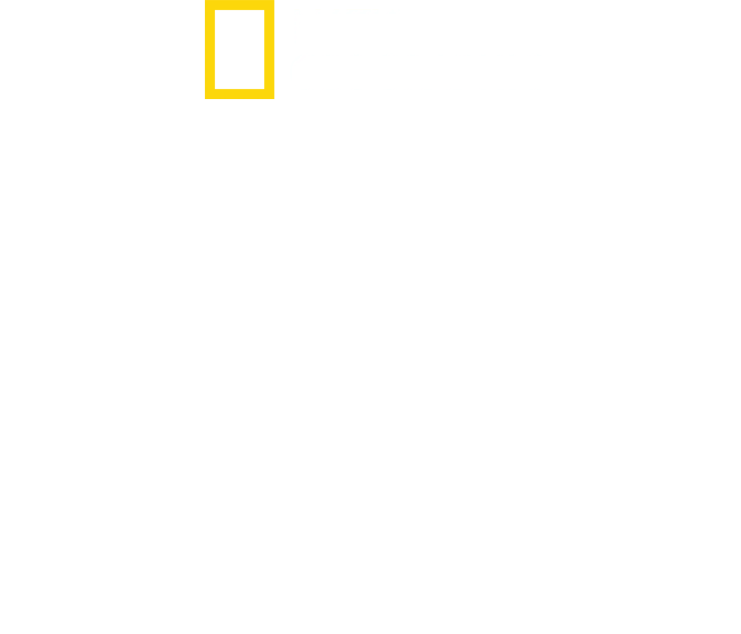 עדות לאסון