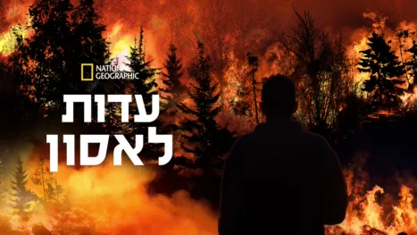 thumbnail - עדות לאסון