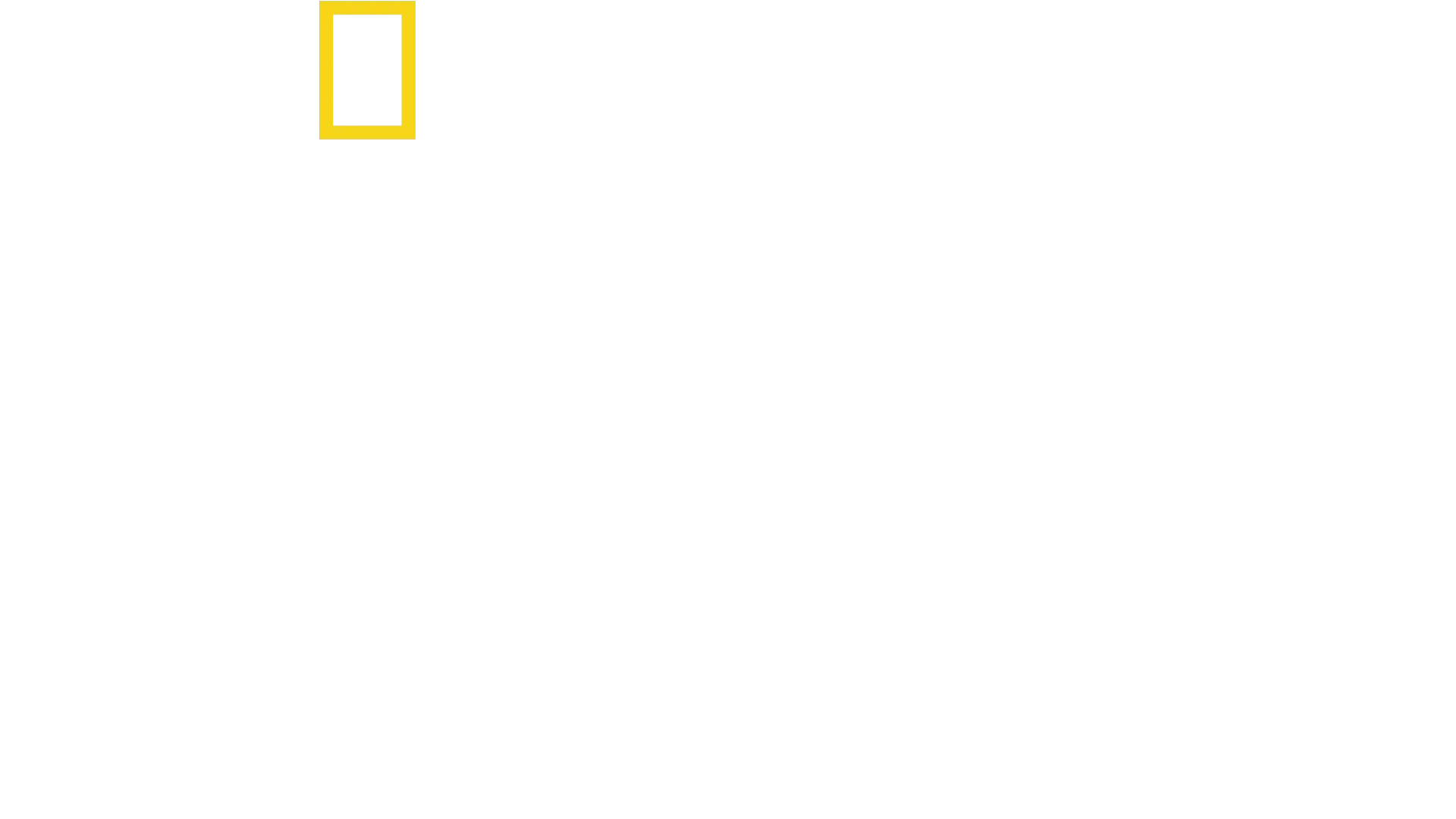 أسرار الحيتان