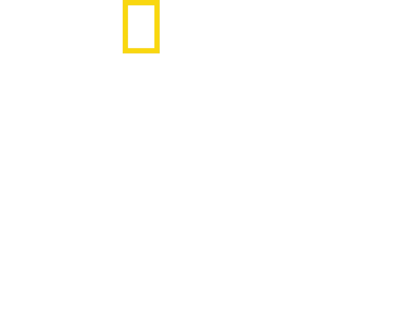أسرار الحيتان