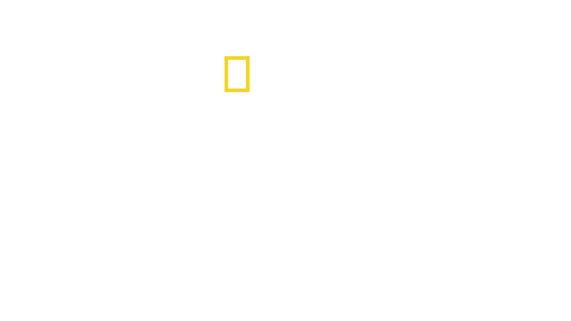 סודות הלווייתנים