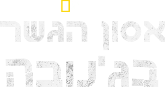 אסון הגשר בג'נובה