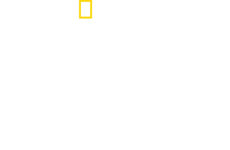 להיות מלכה