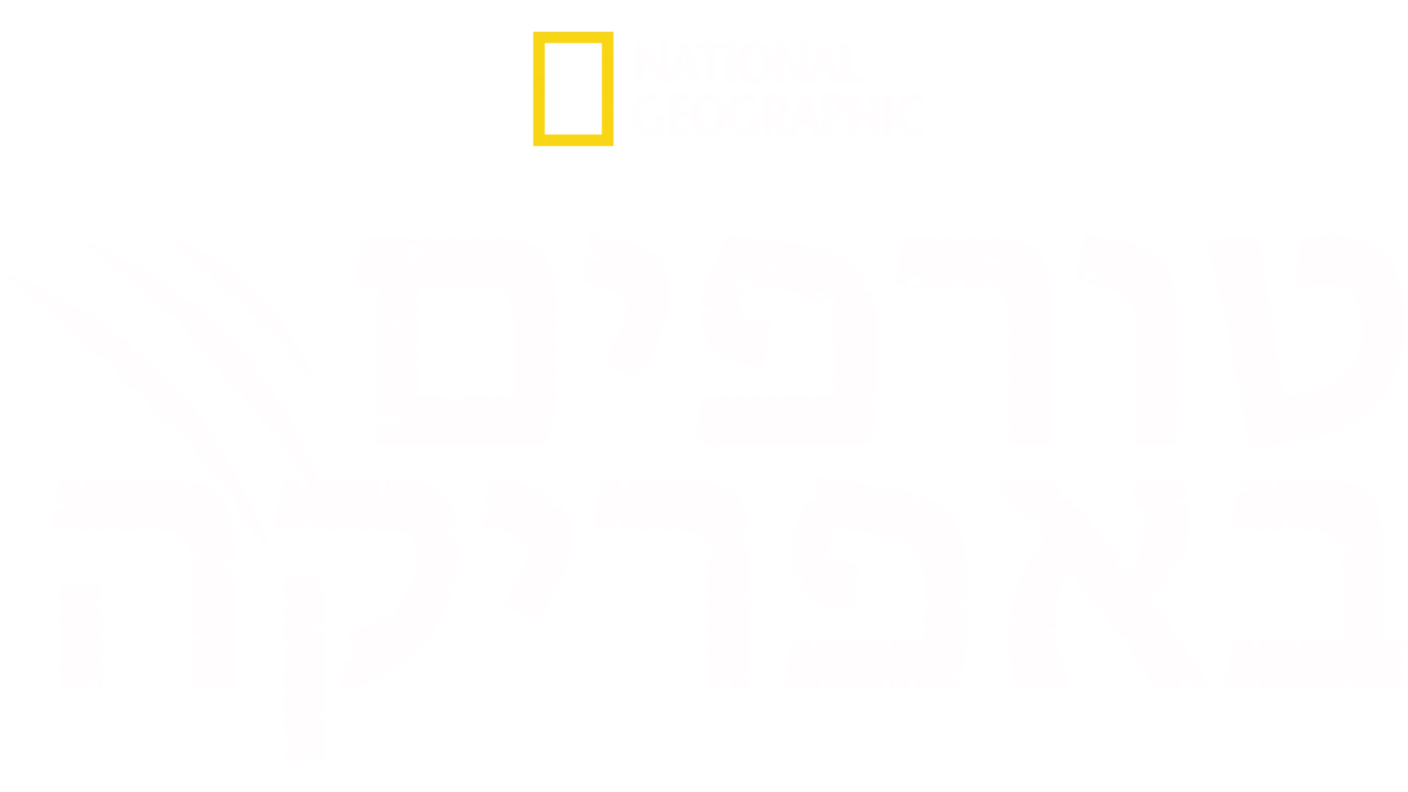 טורפים באפריקה