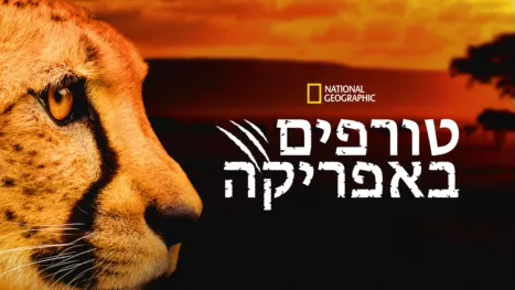 thumbnail - טורפים באפריקה