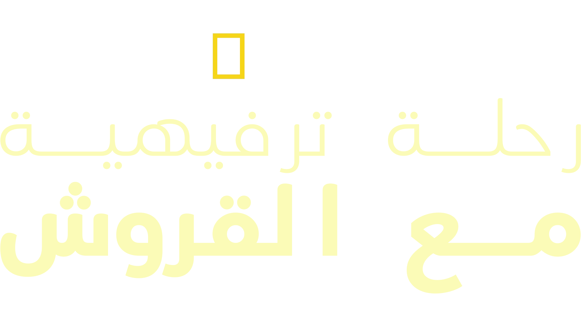 رحلة ترفيهية مع القروش