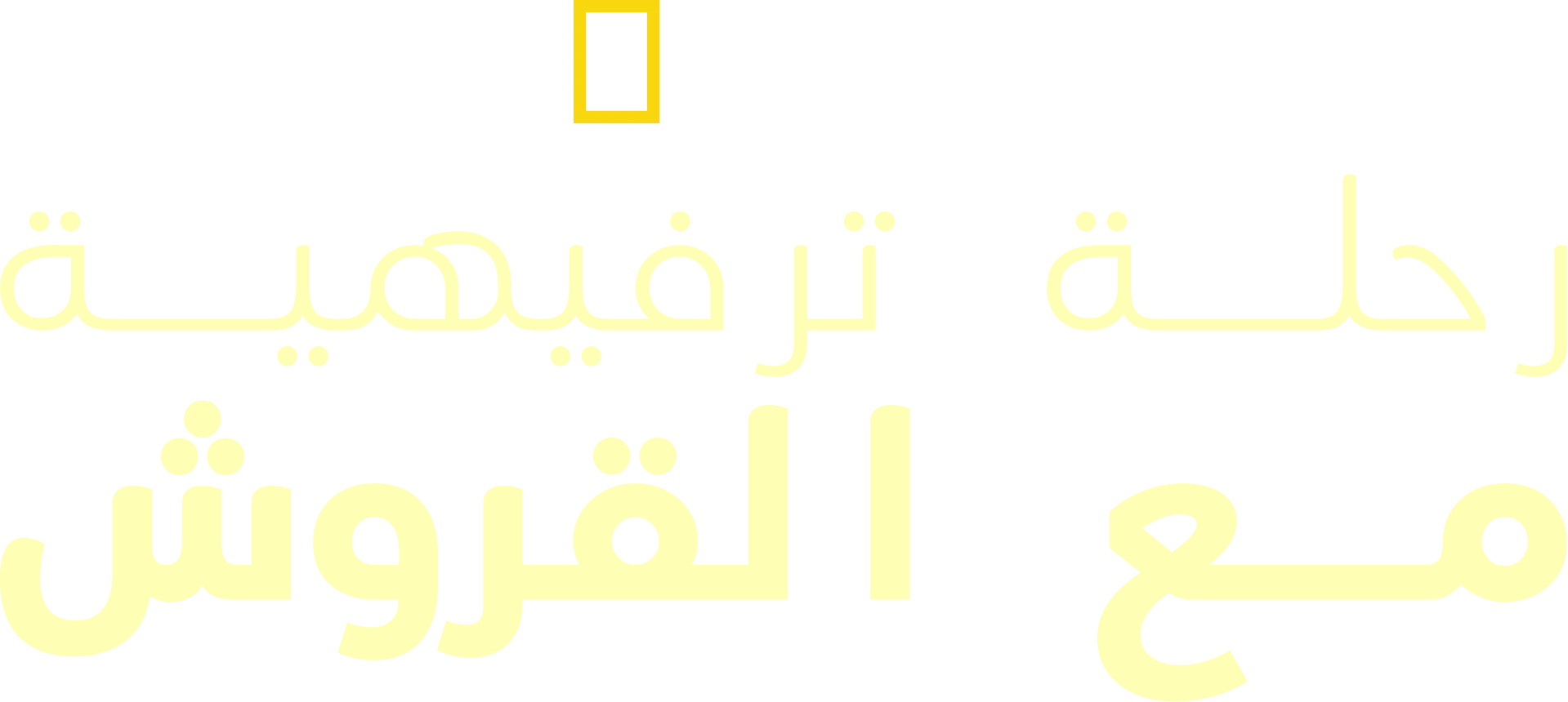 رحلة ترفيهية مع القروش