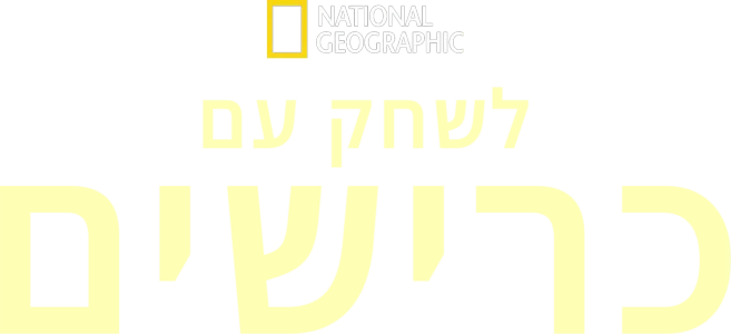 לשחק עם כרישים