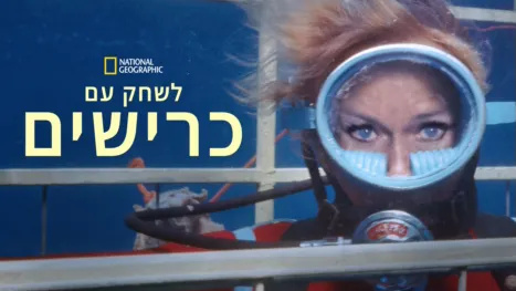 thumbnail - לשחק עם כרישים
