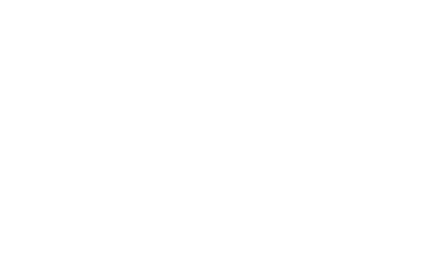 Travis Japan: Vacanța de vară în SUA