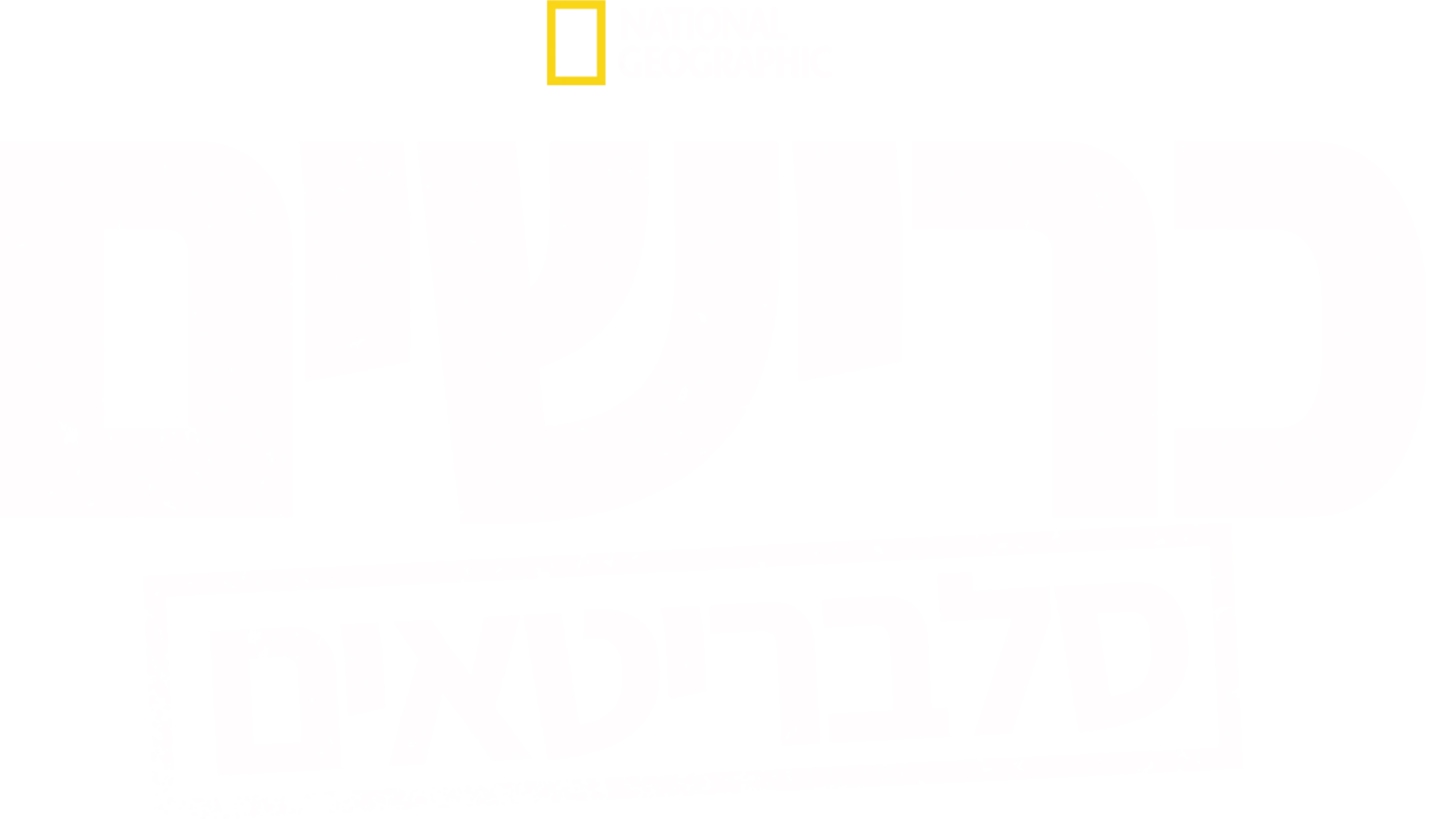 כרישים סלבריטאים