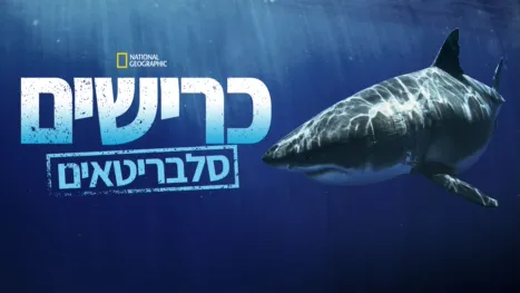 thumbnail - כרישים סלבריטאים