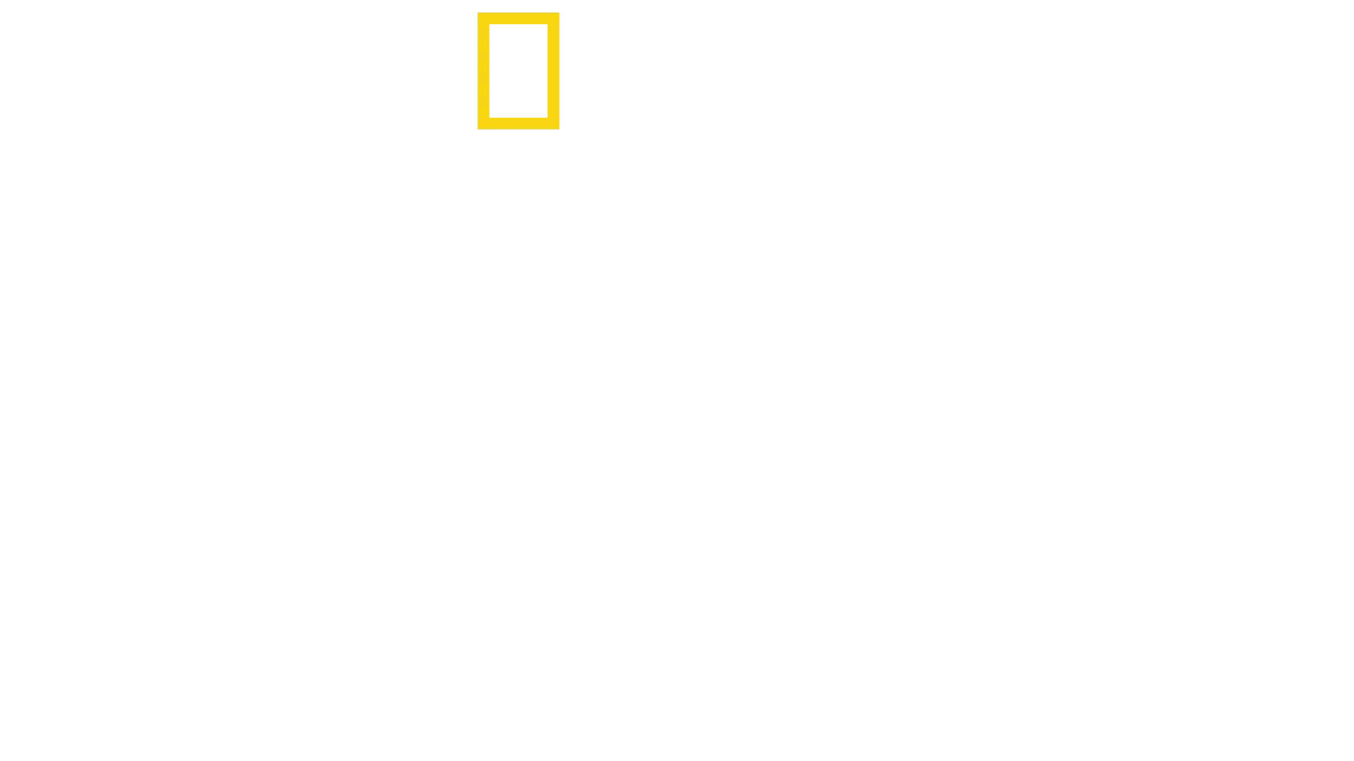 "החילוץ"