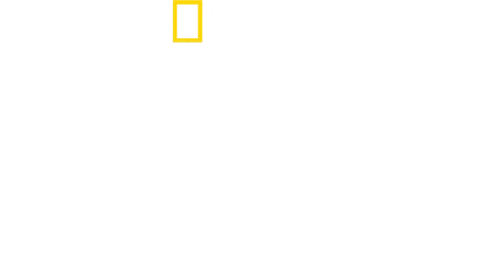 "החילוץ"