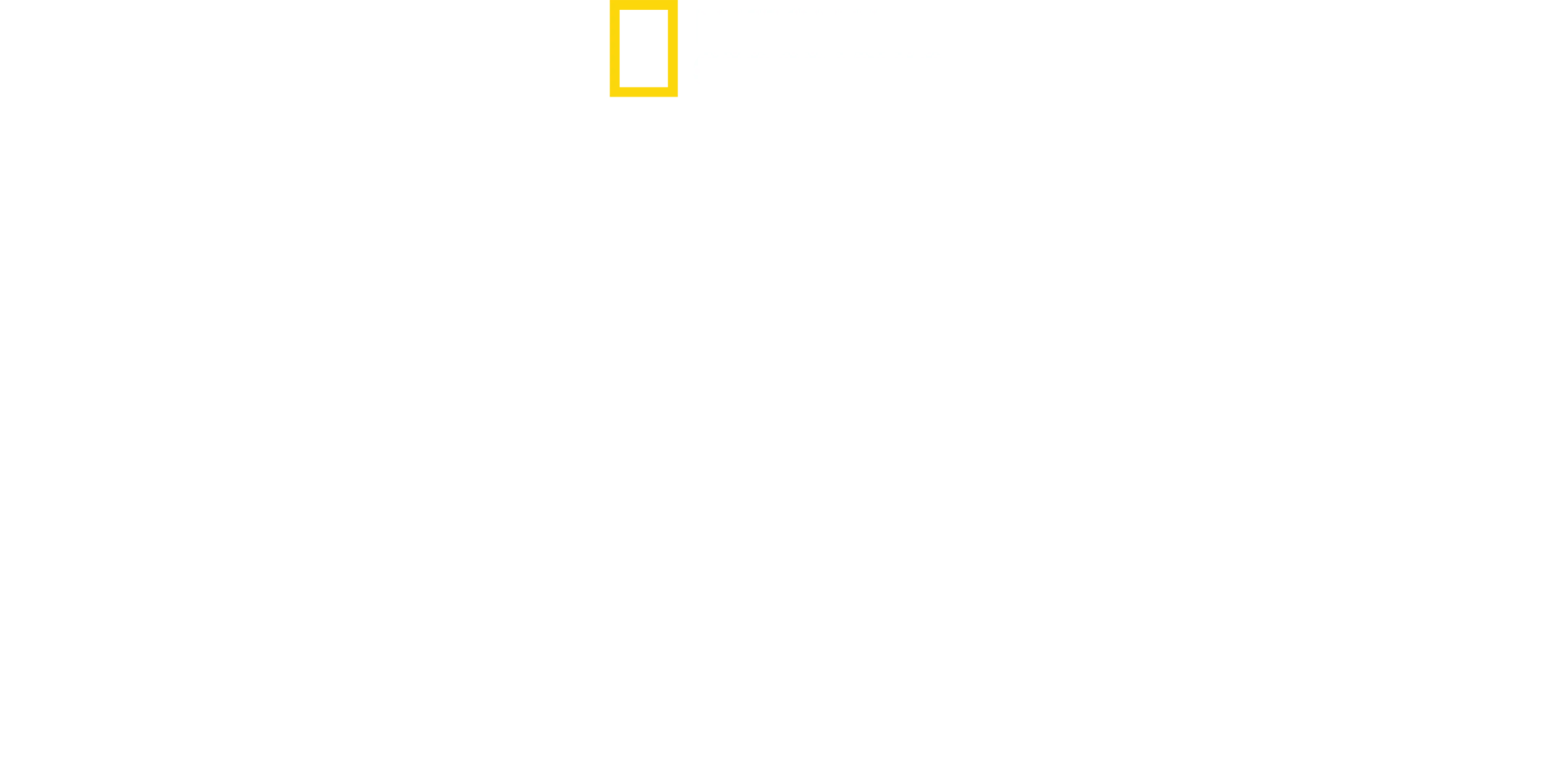 المملكة المتوحشة