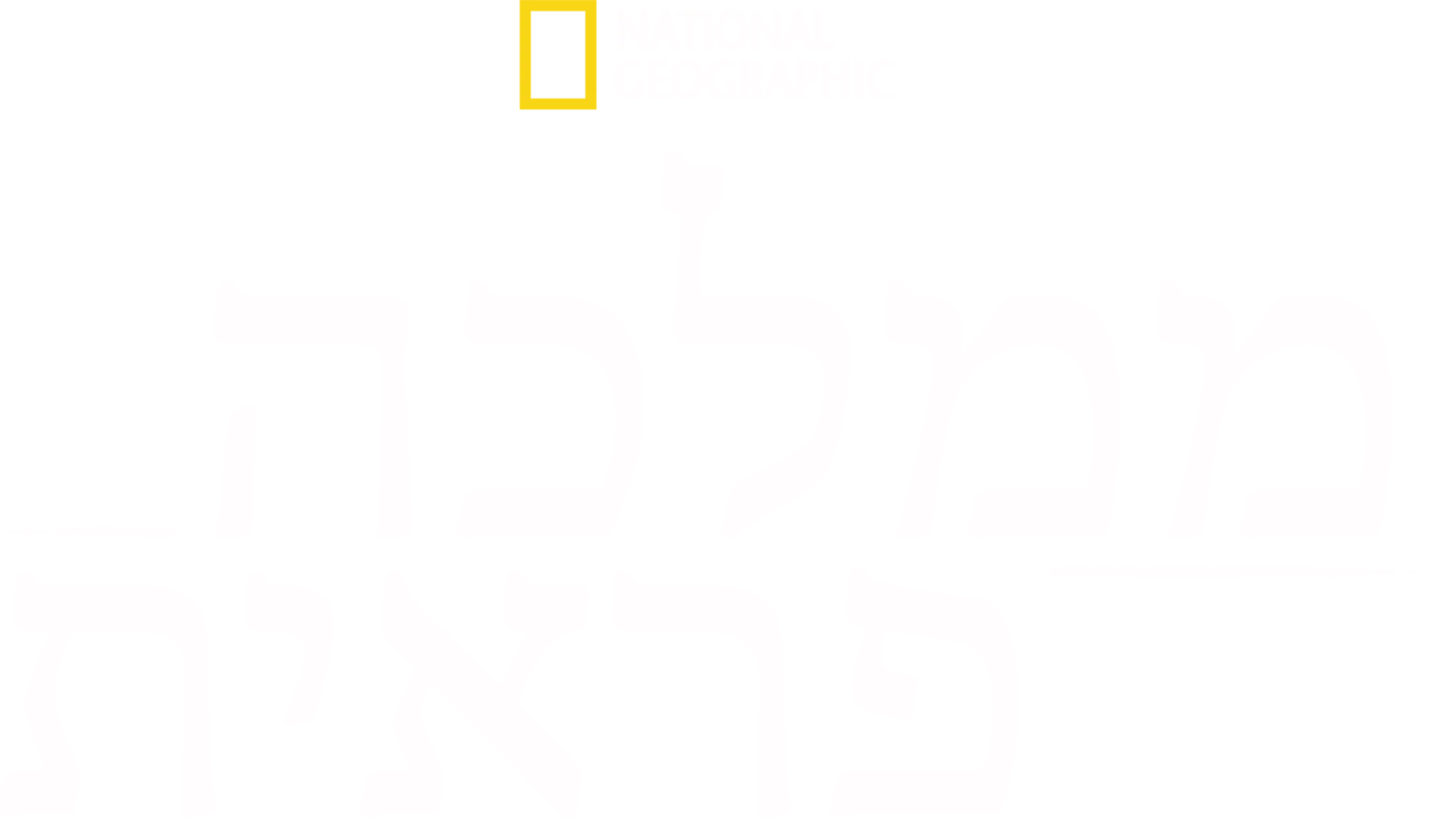 ממלכה פראית