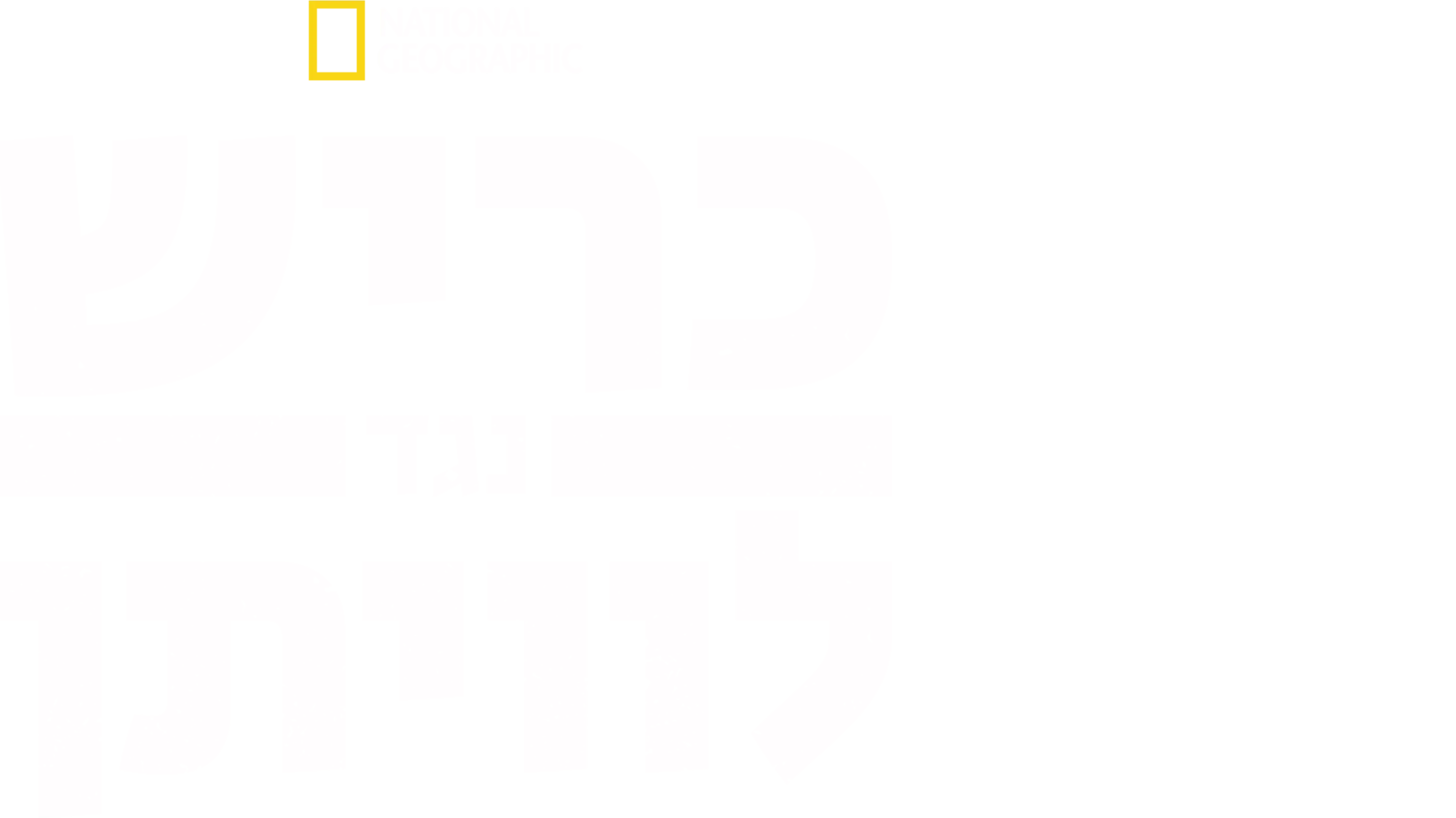 כריש נגד לוויתן