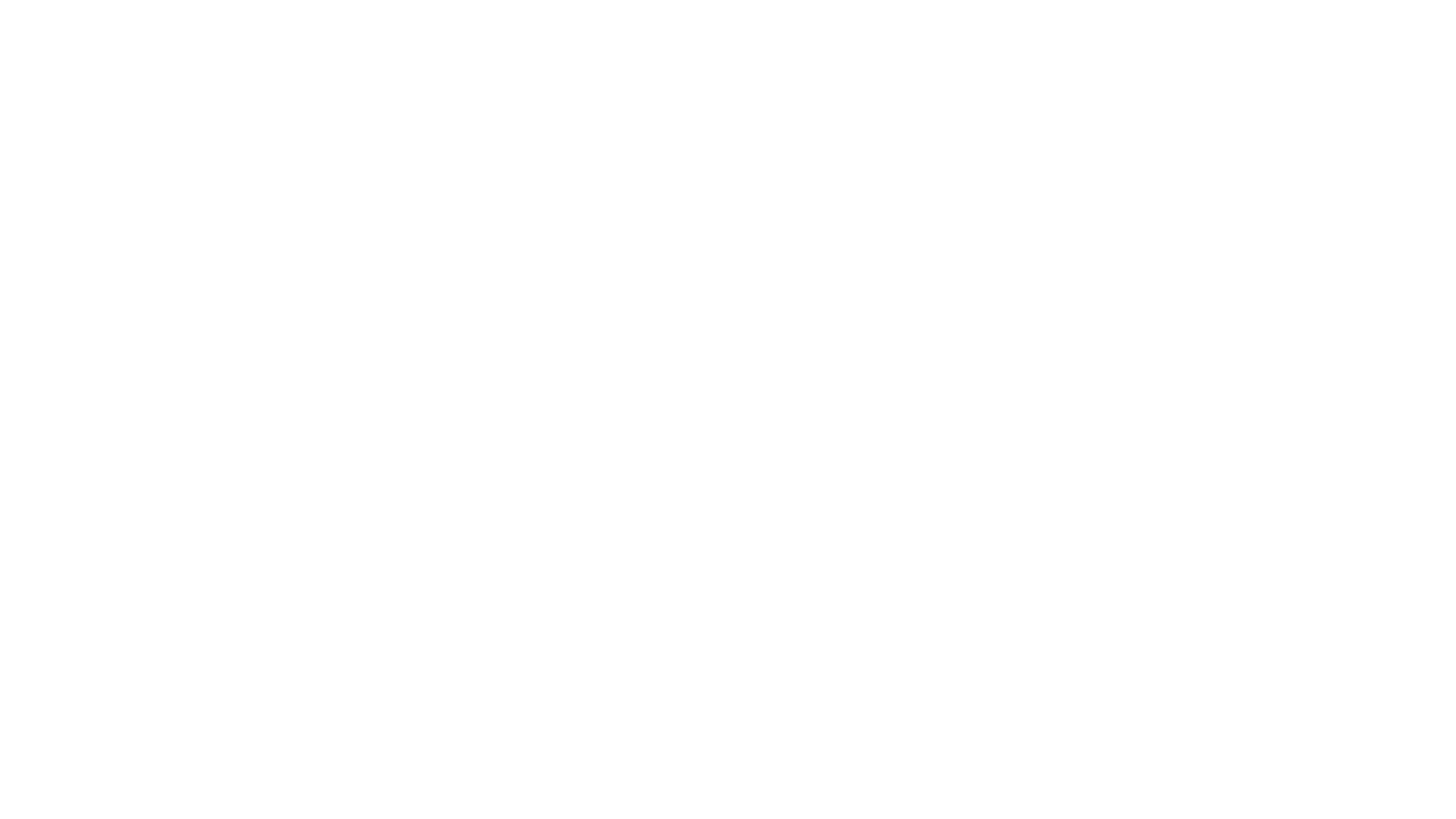 הבאג של רון