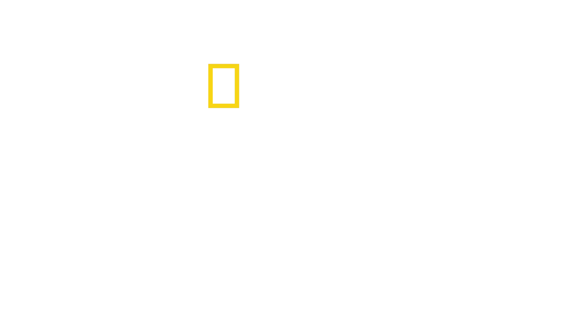קרוע