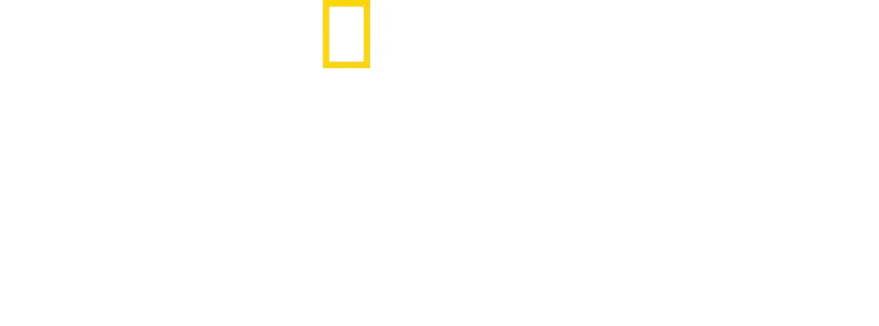 קרוע