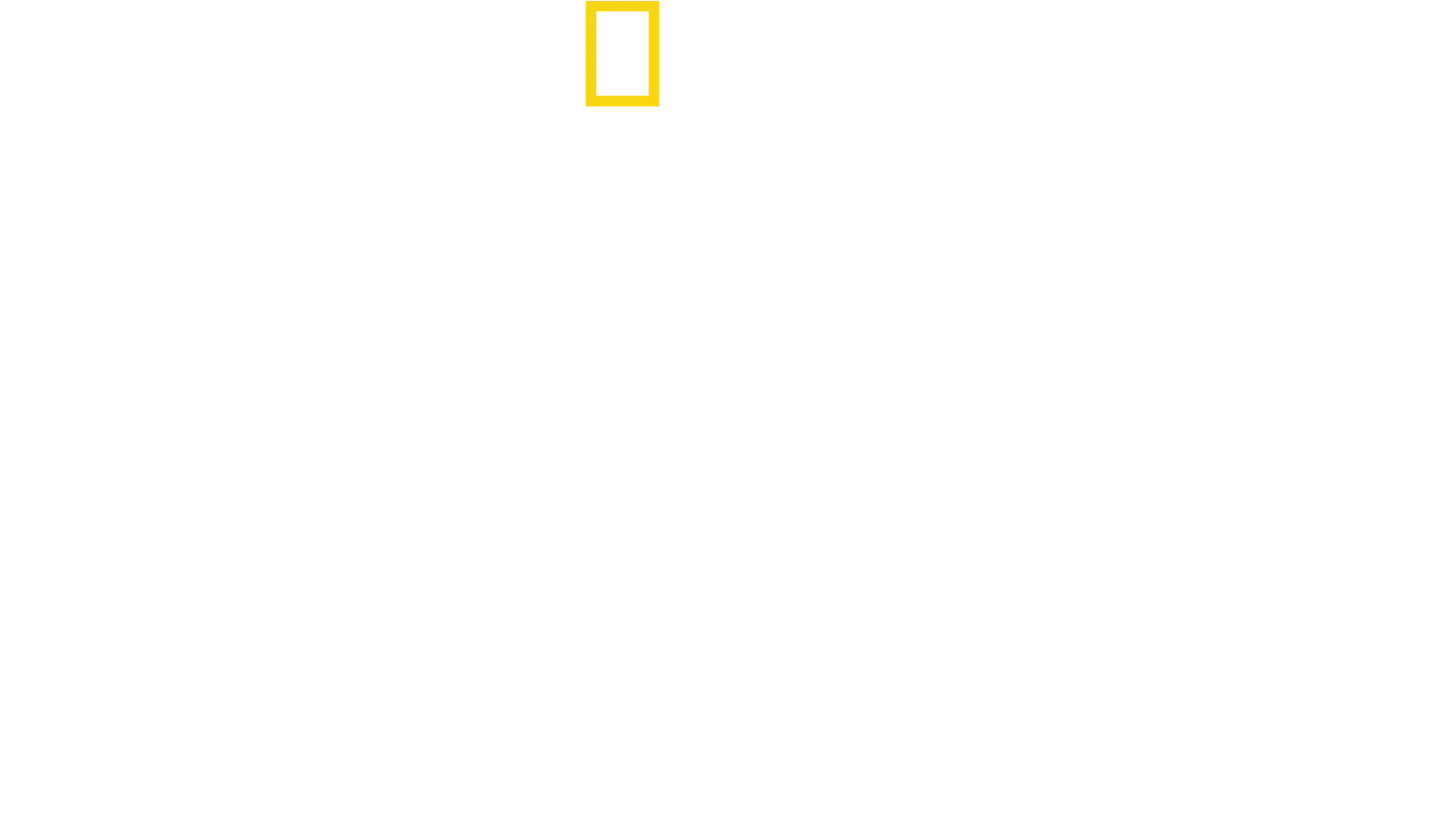 أمومة الحيوانات