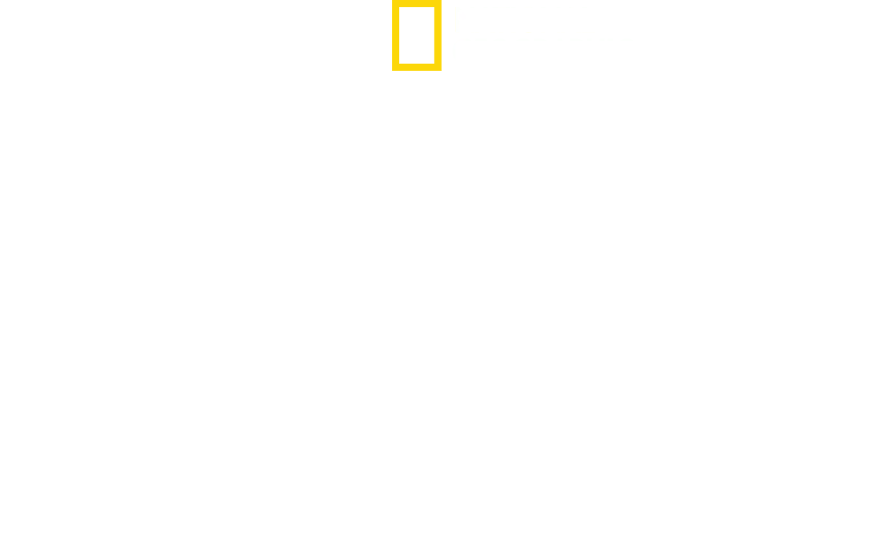 أمومة الحيوانات