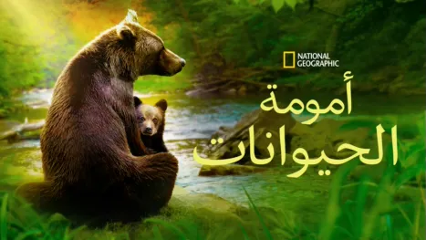 thumbnail - أمومة الحيوانات