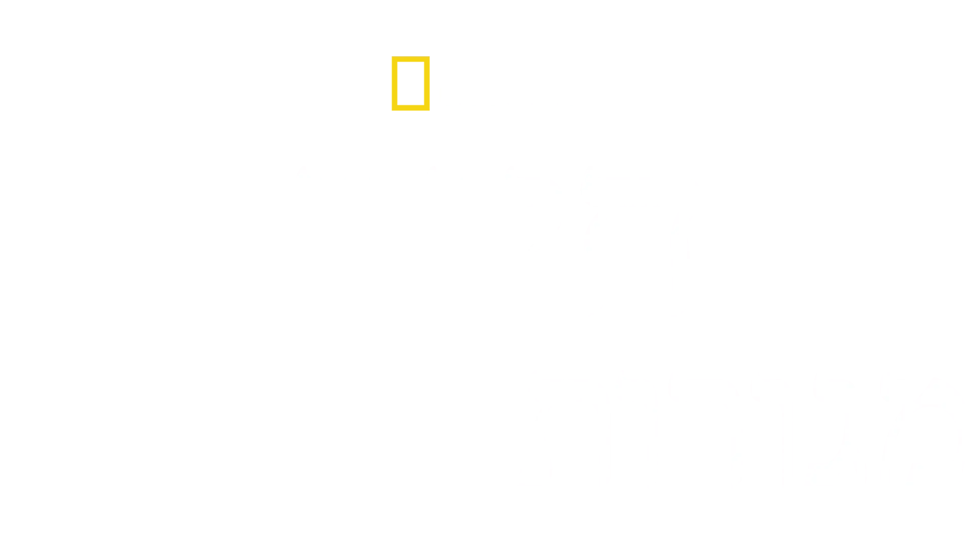 חיות: מגורות לבגרות