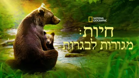 thumbnail - חיות: מגורות לבגרות