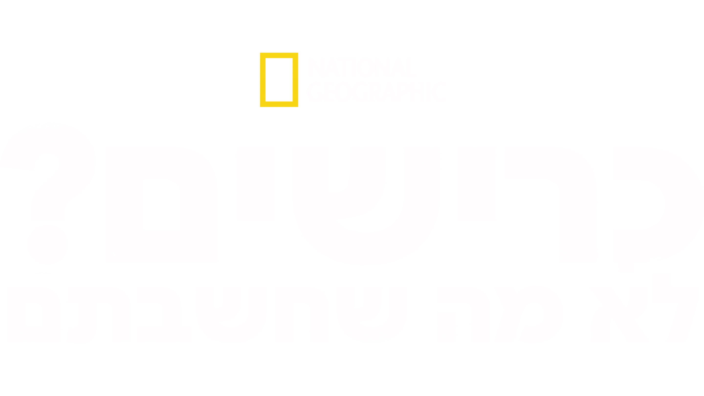 כרישים? לא מה שחשבתם