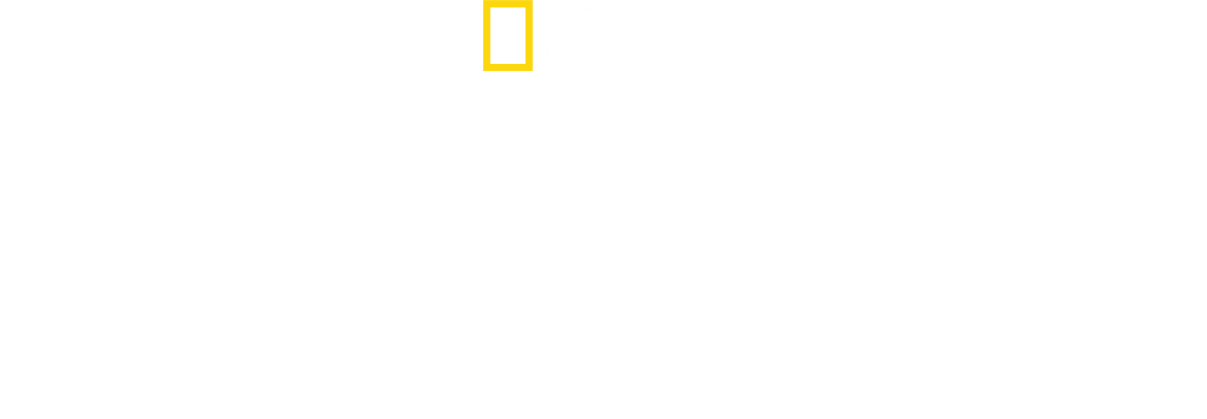 ארגנטינה הפראית