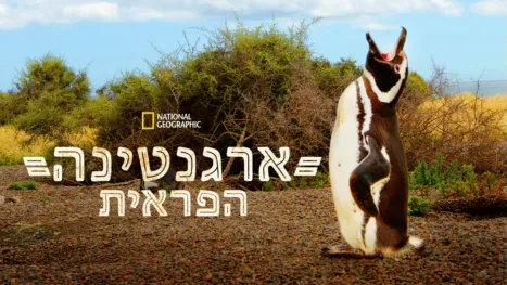 thumbnail - ארגנטינה הפראית