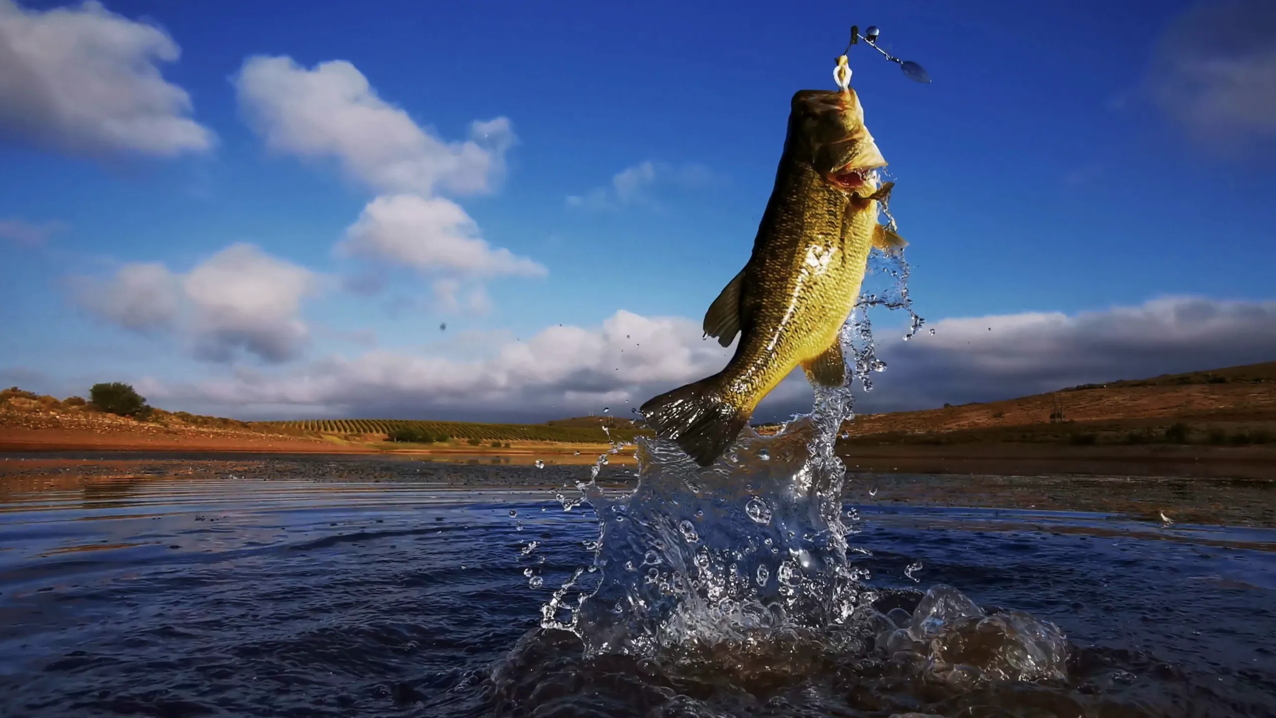 Jimmy Houston Outdoors