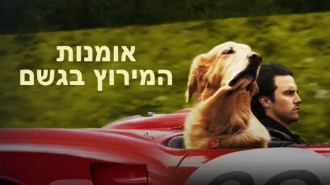 thumbnail - אמנות המירוץ בגשם