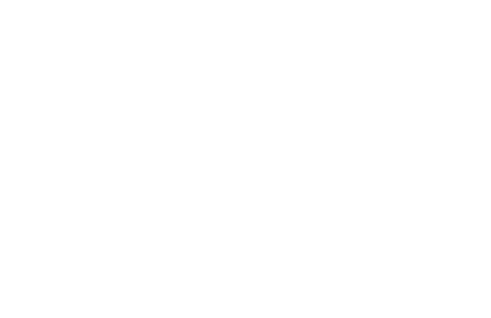 نيو أمستردام