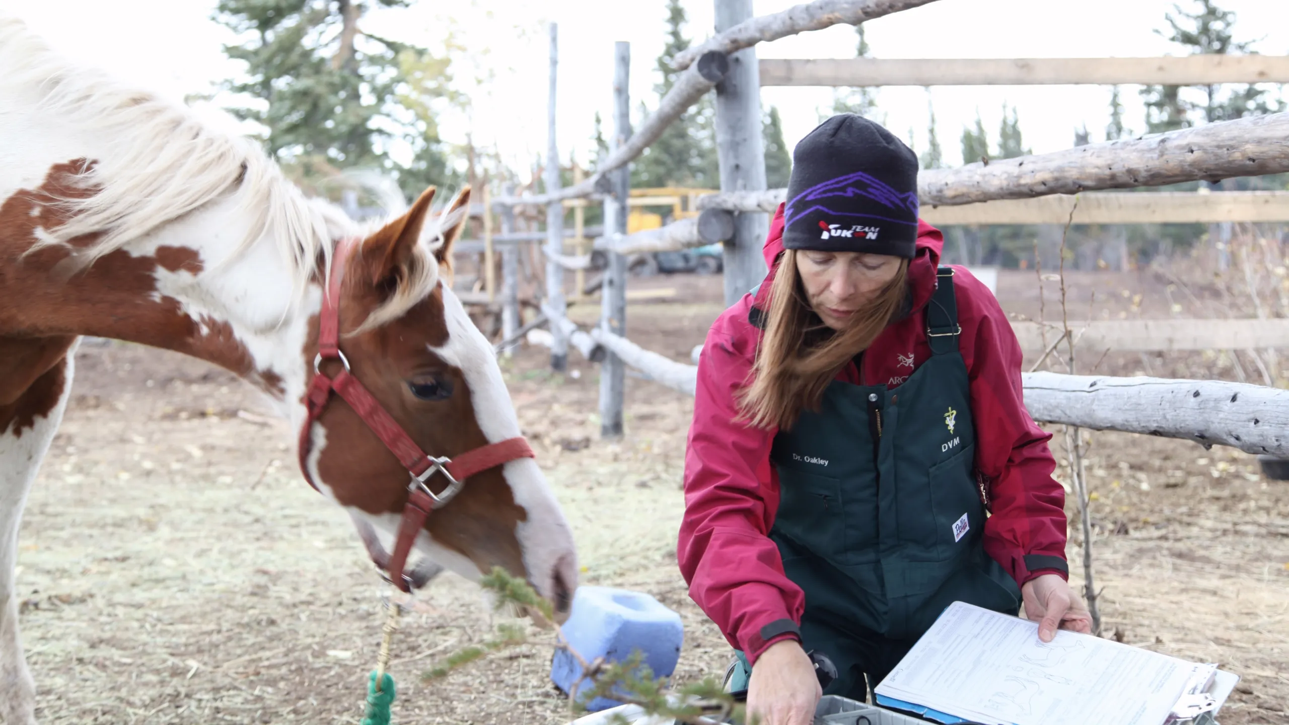 thumbnail - S1:E2 One Angry Muskox