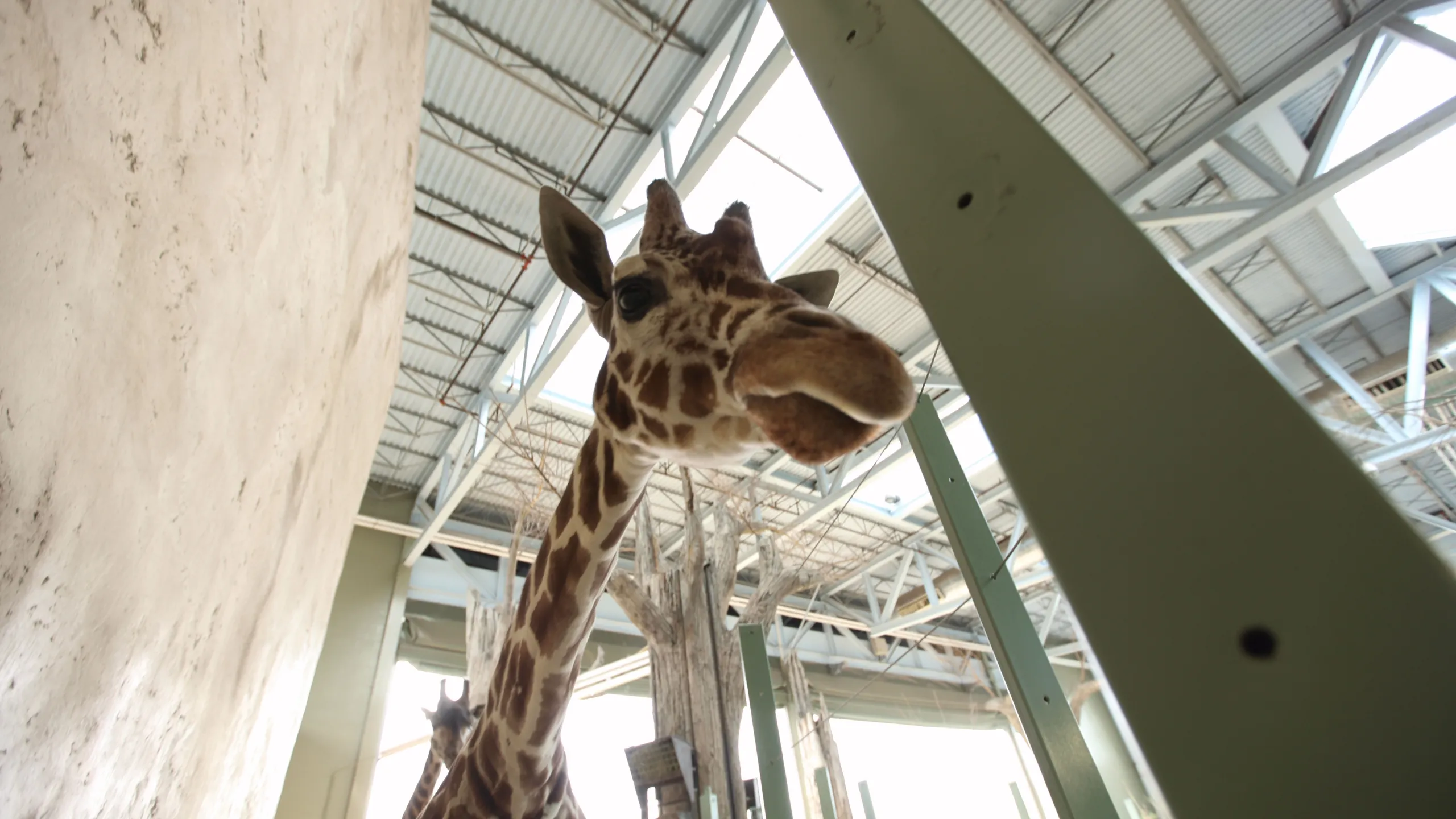 thumbnail - S1:E5 Oakley Get Your Blow Gun