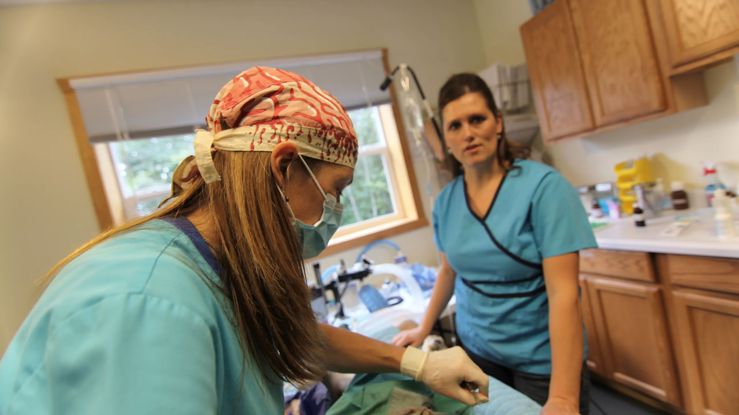 thumbnail - S1:E4 Reindeer Pains