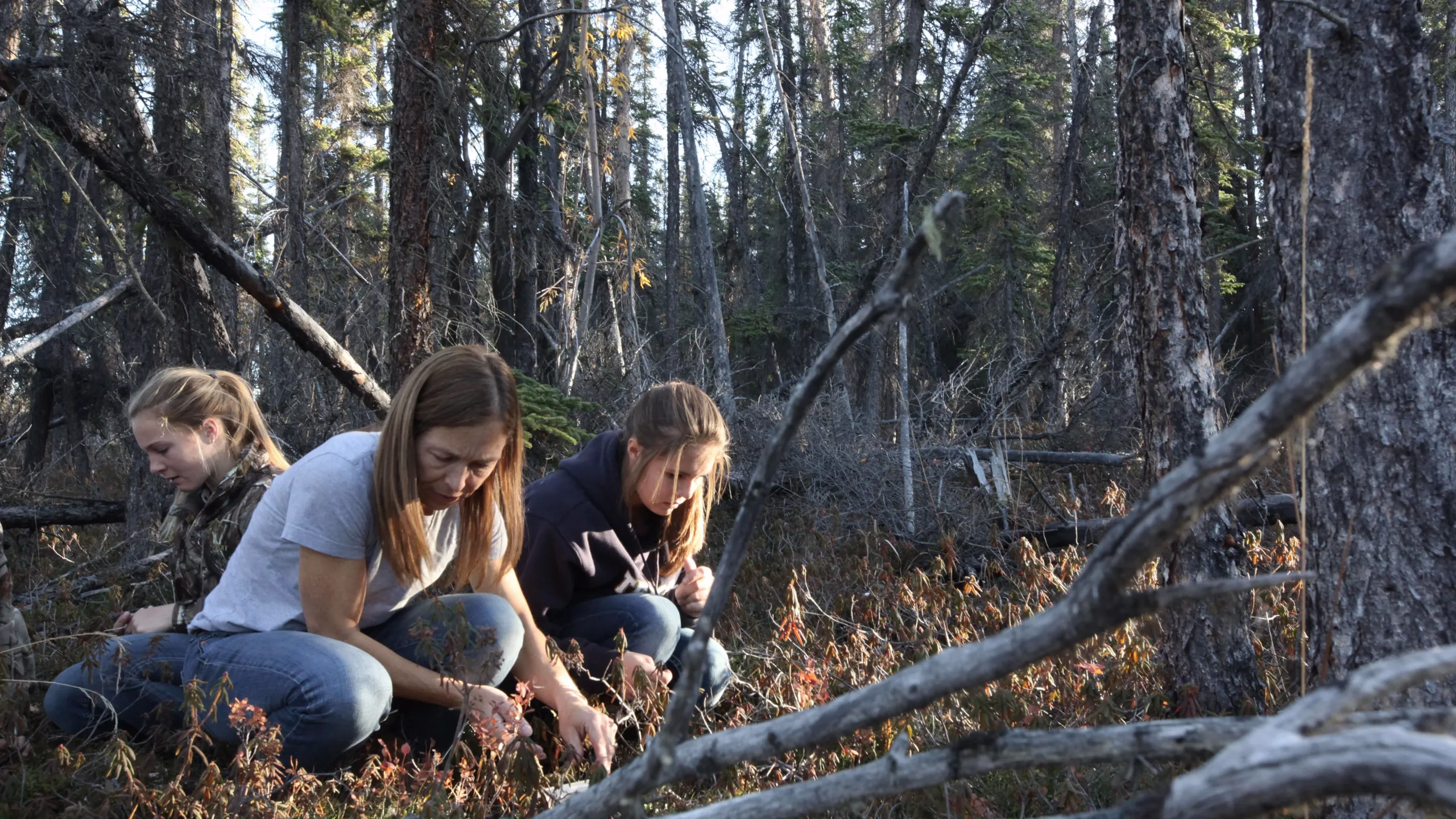 thumbnail - S1:E6 Winter Is Coming