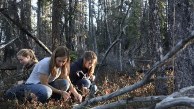 thumbnail - S1:E6 Winter Is Coming