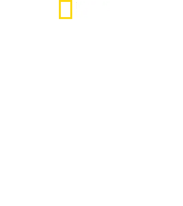 גבולות הלא נודע עם ג'ימי צ'ין