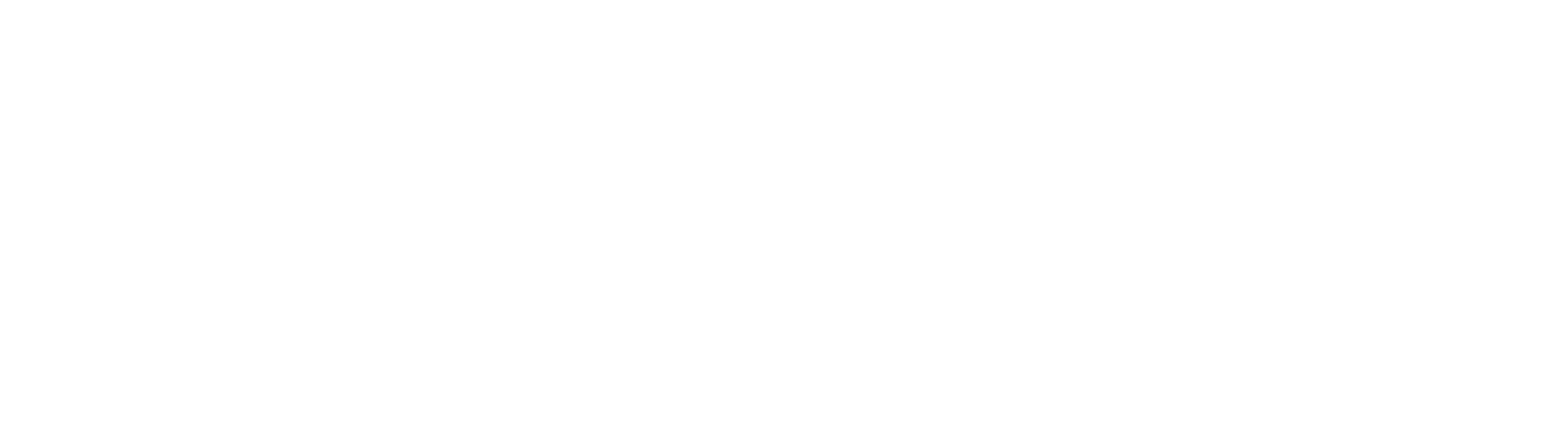 قصة اختفاء وعودة ستيفن ستاينر