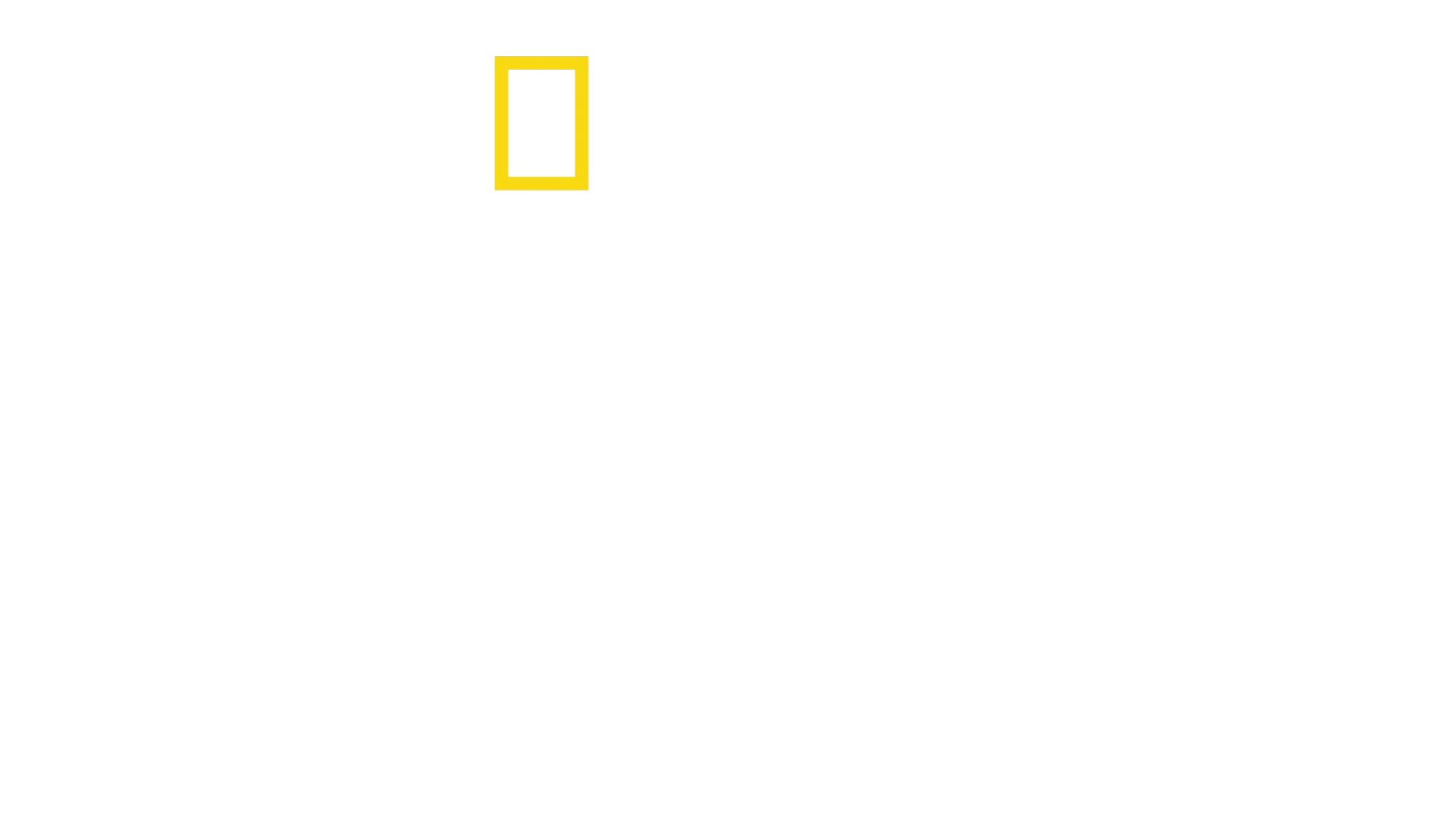 Amsterdam Central: Nádraží, které nespí