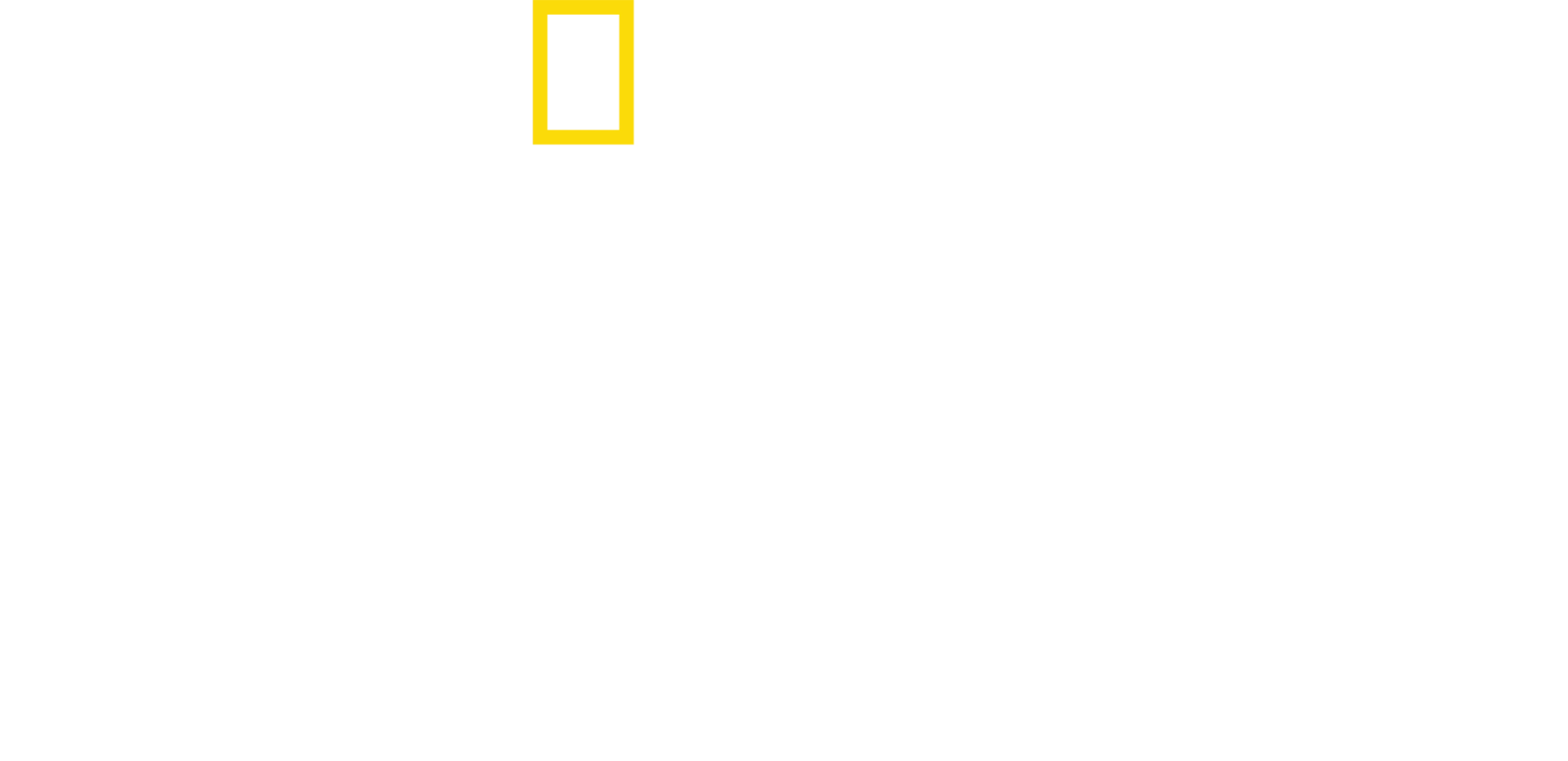 Amsterdam Central: Nádraží, které nespí