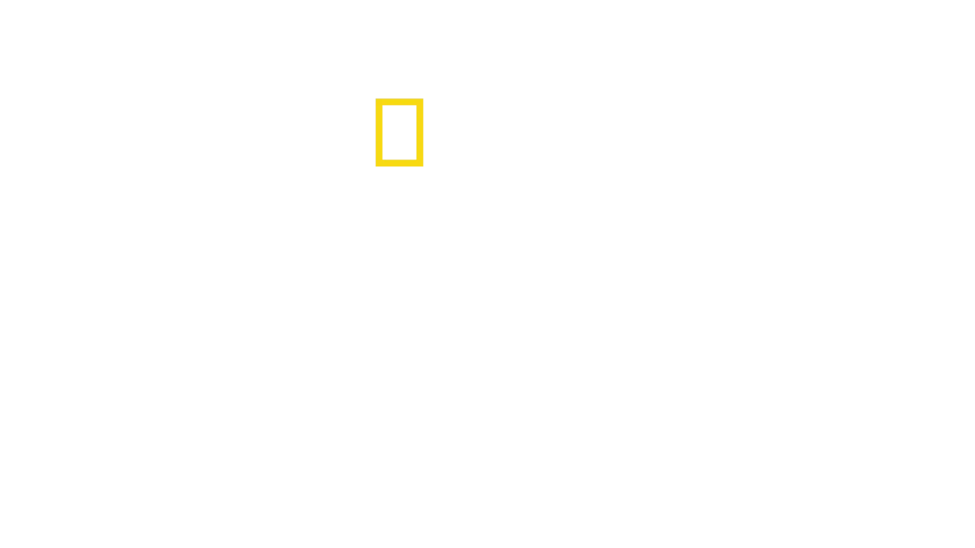Amsterdam Central: Alltag am Mega-Bahnhof