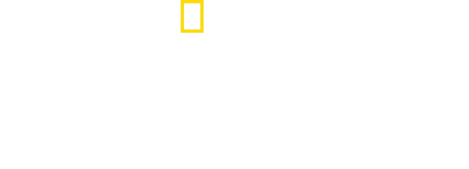 Amsterdam Central: Alltag am Mega-Bahnhof